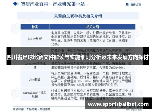 四川省足球比赛文件解读与实施细则分析及未来发展方向探讨